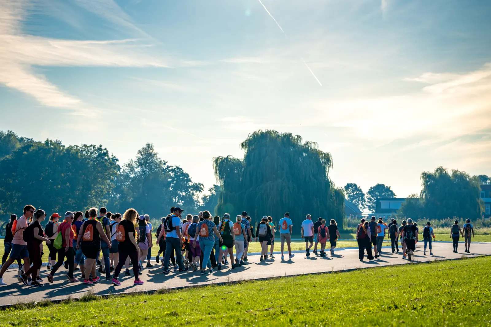 Een lange stoet wandelaars op de dijk in de ochtendzon tijdens het Wandel Feest Hoeksche Waard